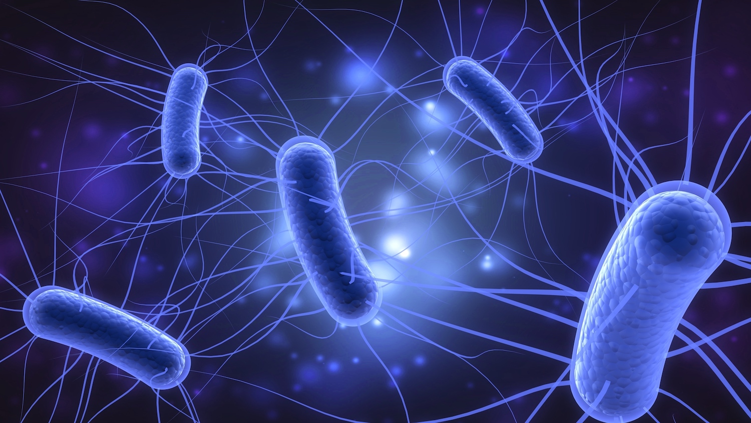 E.coli Concerns
